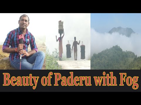 Beauty of Paderu with Fog Agency in Visakhapatnam,Vizag Vision