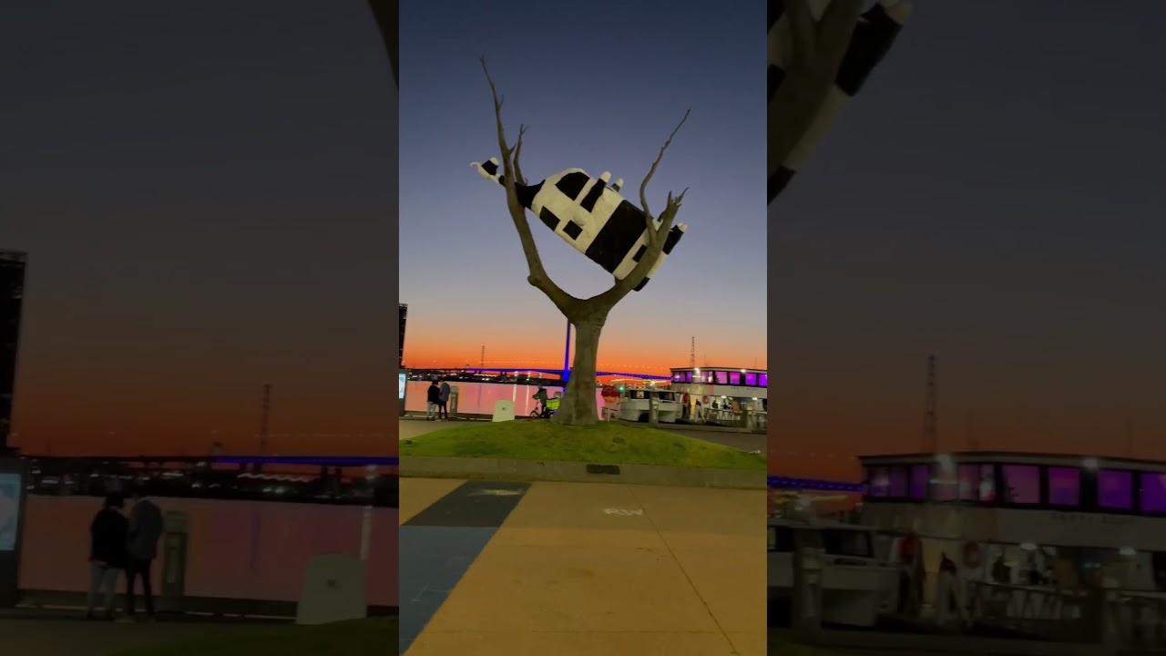 YouTube Short thumbnail