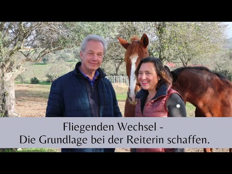 Fleigenden Wechsel - Die Grundlage bei der Reiterin schaffen.