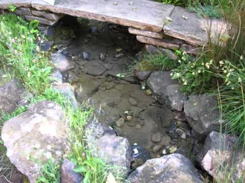 RHS Chelsea Flower Show 2012