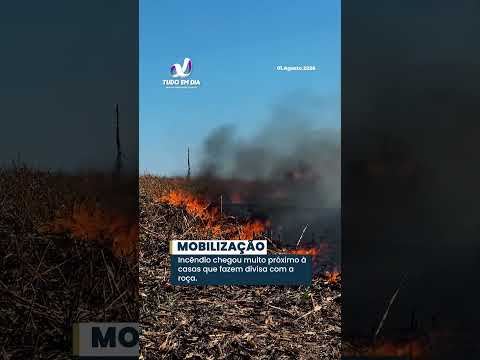 Incêndio em palhada de roça ao lado do B. Barbosa, em Capinópolis, MG, assuta moradores