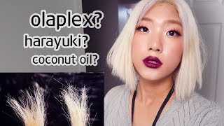 DEAD HAIR EXPERIMENT Olaplex VS Harayuki VS DIY Coconut Oil - WHICH IS THE BEST!!