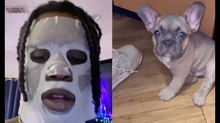 Chief Keef French Bulldog Puppy Is So Scared Of Him It Wont Stop Shaking