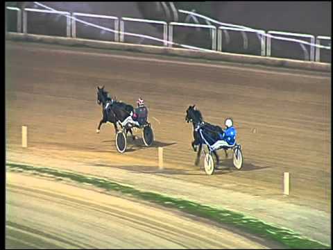 Trotto 08/11/2015 - 2° prova di qualifica