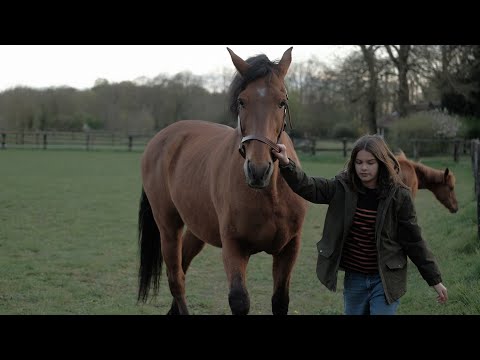 Tráiler Zoe y Tempestad