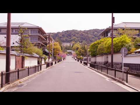華頂チャンネル【大学・短大】 のライブ配信
