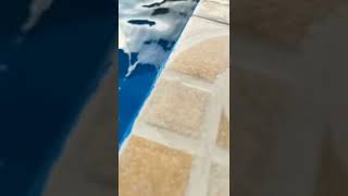 TikTok viral 23 #sexy#bikini #tiktok