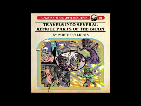 Northern Lights - viaja por várias partes remotas do cérebro (álbum completo 2021)