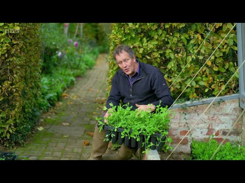 Gardeners' World 2025/2026🍀 Winter Specials Episode 1