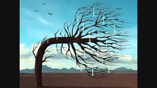 Biffy Clyro   The Fog