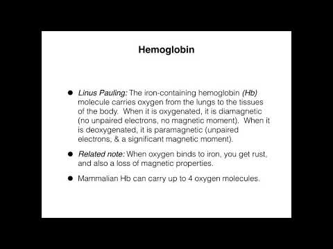 functional MRI basics part 3