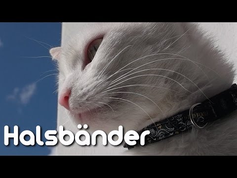 Es turnt in Osteochondrose Schmerzen Gelenke der Finger auf den Beinen