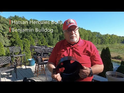 Benjamin Bulldog vs. Hercules Bully - Air Rifles