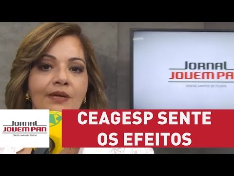 Ceagesp sente efeitos do desabastecimento causado pela greve dos caminhoneiros | Jornal JP