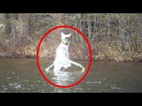 9 СТРАШНЫХ SCP И ПРИЗРАКОВ СНЯТЫХ НА КАМЕРУ
