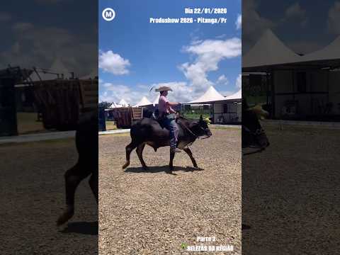 #Produshow em #Pitanga #Paraná #dia 22/01/2026 #Parte3 #agro #Producerta  #BelezasdaRegião