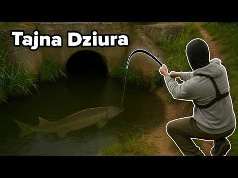 I Discovered Big Fish by Taking the Secret Path