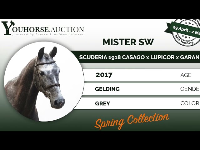 Mister SW @ training