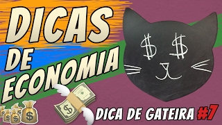 Dicas de Economia: Como gastar menos com seus gatos