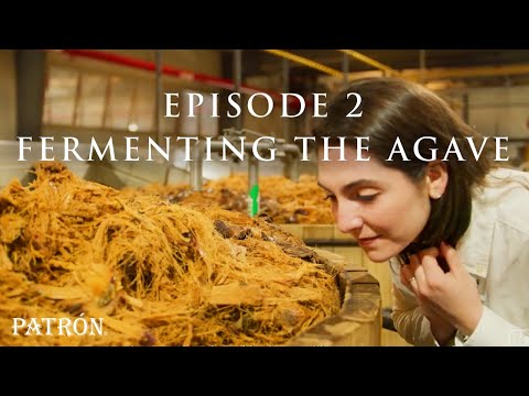 How Patrón Tequila Is Made | Fermentation & Distillation | Ep.2