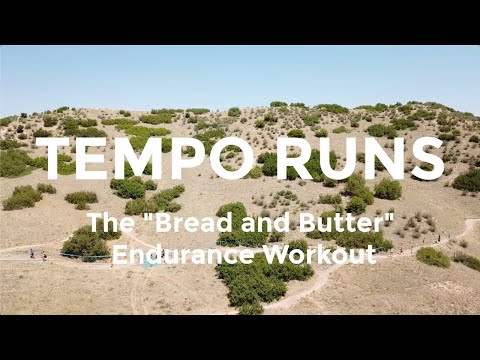 Tempo Runs: Examples, Pacing, and Types of Tempo Workouts