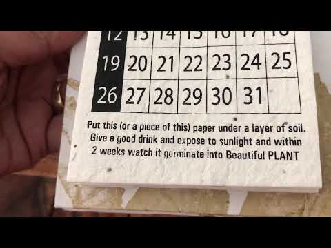 Paper digital printing printed plantable calander