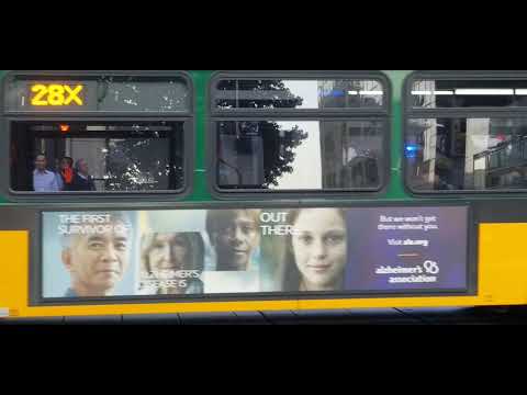 Downtown Seattle Fight The Winner Gets Bracelets 07/30/19