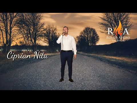 Ciprian Nitu - Ne tanjeste inima Isuse