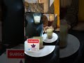 Garam Chai Ki Pyali Ho Shorts