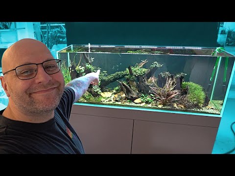 Rescape 500 Liter Bucephalandra Aquarium