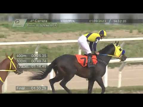 230901 c04 - UNBRIDLED GLORY - HIPODROMO LAS PIEDRAS