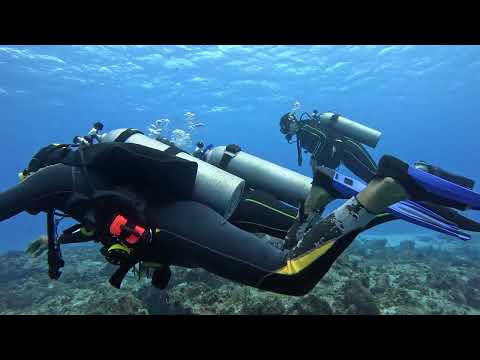 Clip 2 of 2 from first Scuba dive of two in Cozumel Mexico 2025. Mix of diver and sea life.