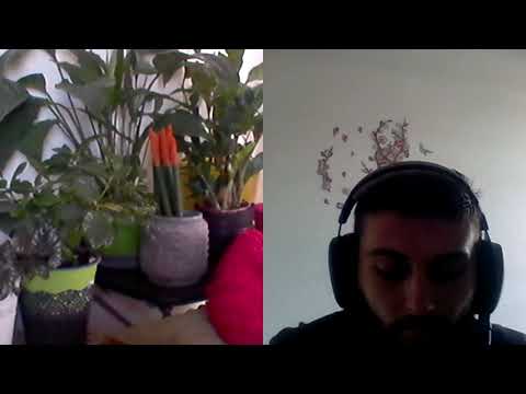 Hipn ezoterica 398 Dangatul clopotelor partea l A si C Moraru