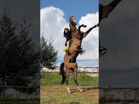 天空的雾来的漫不经心 ❤️🥰#horsevideo #horseriding #horse #horses #horsegirl #horseshow #horserescue