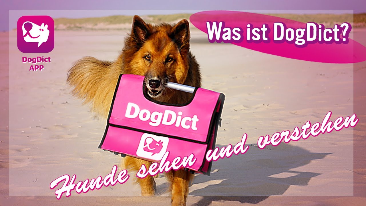 Folge 22: Was ist DogDict?