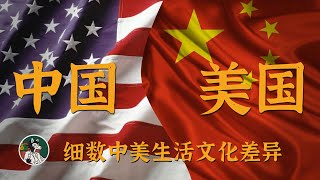 [問卦]沉醉的小五郎-中美文化差異 東昇西降是趨勢