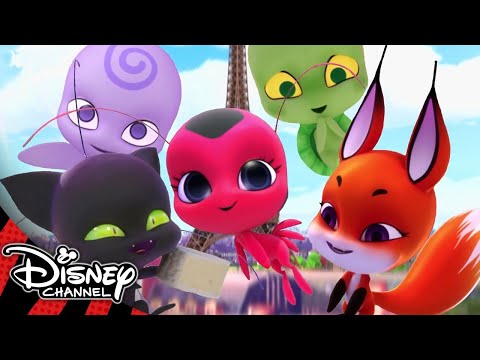 , title : 'Miraculous Ladybug | Meet the Kwamis! ✨| Disney Channel UK'