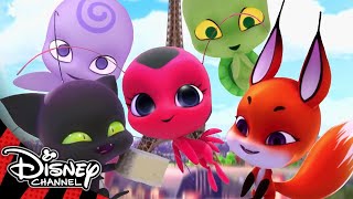 Miraculous Ladybug | Meet the Kwamis! ✨| Disney Channel UK