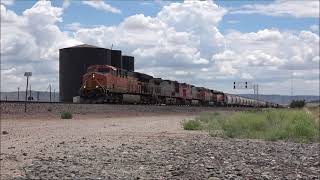 A couple trains at Pica