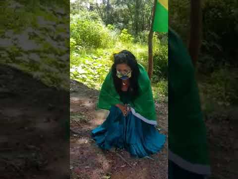 hino de Barão de Melgaço mt