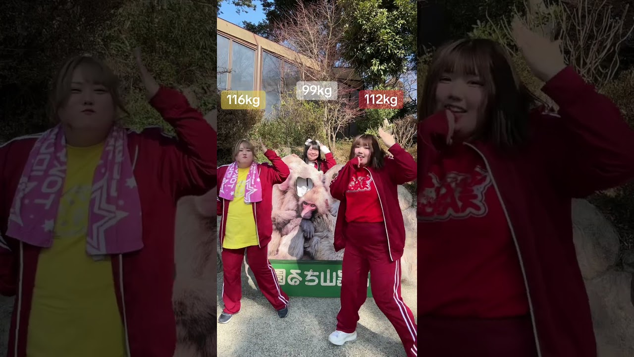 おデブやねん！なんでやねん！しらんけど！ #びっくえんじぇる い#踊ってみた #モナキ #アイドル