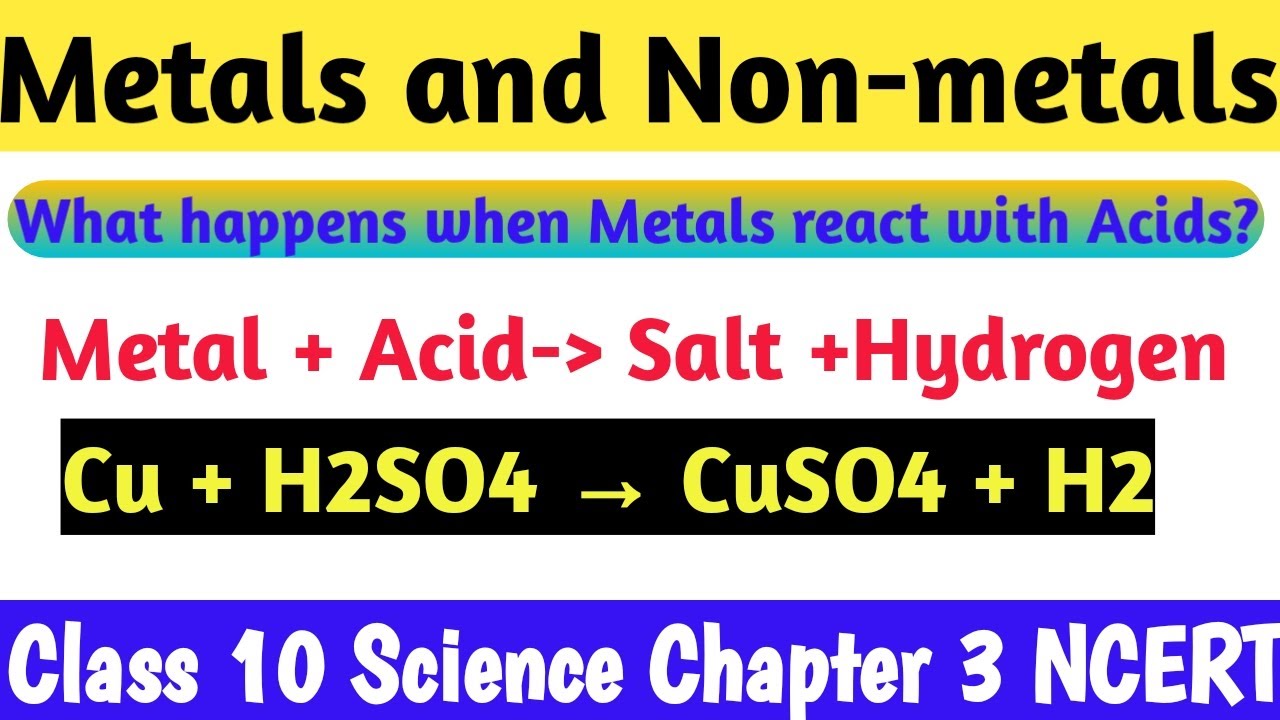 Metals and Non-metals|Metals Reaction with Acids | Activity 3.11 |Chapter 3 NCERT | CBSE
