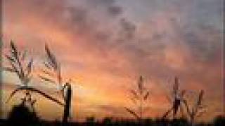 Per te qualcosa ancora Pooh