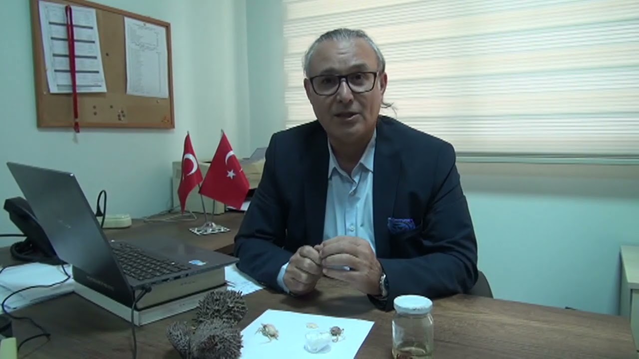 Yeni Tür Kayıt Altına Alındı