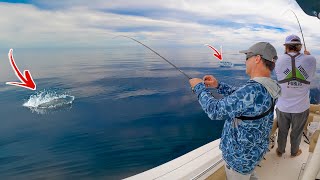 CRAZIEST Feeding Frenzy 15 Miles Offshore - Giant after Giant!