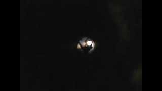 cricket chirping צרצר מצרצר