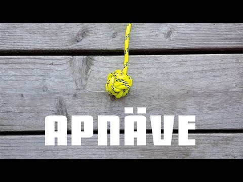 Knep och knop - APNÄVE eller APANS NÄVE
