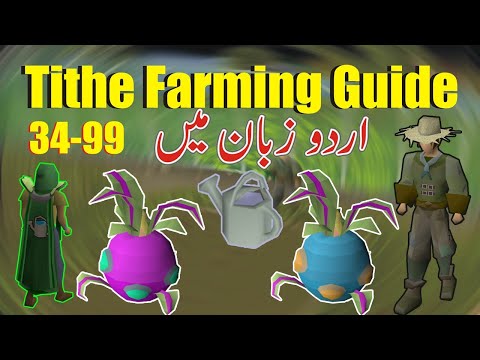 OSRS - 100K+ Farming XP/HR - 34 to 99 Farming Guide In Urdu/Hindi - Tithe Farm Guide in Urdu/Hindi