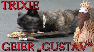 "TRIXIE GEIER GUSTAV" -Was taugt das Hundespielzeug ?