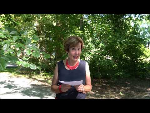 04 Haren verbeeld VONDELLAAN